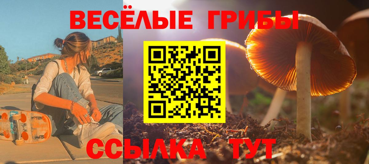 ЭКСТАЗИ  ГАШИШ  Кимры  Каннабис  ГАШ  МЕФ   Метамфетамин  Вход с VPN 